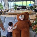 무하로 | 화성대형카페 향남 롤링힐스 근처 아이랑 언더더트리