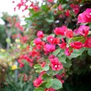 이&전 행정사 사무소 이미지