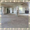 댕댕이지 이미지