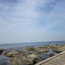 성심컨설팅공인중개사사무소 이미지