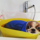 트리밍101 이미지