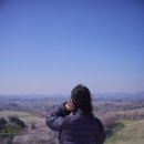 둘레목장 | 서산한우목장 웰빙 산책로 4월 첫주 벚꽃 개화 현황(4월 5일)