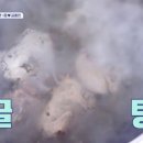 금천재