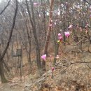 롯데백화점 남문 앞 이미지