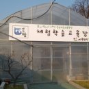 샤론농장 이미지