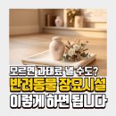 오수 펫 추모공원 | 반려동물 장묘시설 오수펫추모공원 이용법 총정리｜예약방법·비용·불법매장 주의까지 한 번에