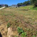 홍성건축 이미지