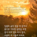 자연의 소리 이미지