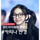 경산 ICU비전케어 3번째방문 카리나안경 오드아이웨어 루이스 변색렌즈 구매후기!