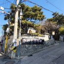 차마시는 뜰 이미지