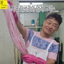 갯장어 손질, 잔칼질하기, 갯장어 샤브샤브, 맛있게 드시는 방법 안내 입니다. 이미지