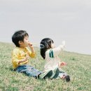 늘새찬