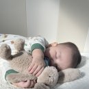 브레인 영어동화놀이 이미지