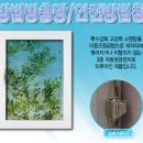 동우ENG