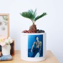 디클리셰 피트니스 이미지