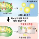 소립에너지 이미지