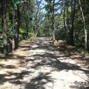 봉래산체육공원 이미지