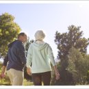 65세이상 감면 이미지