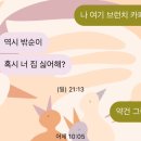 다있움 이미지