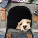 지에스25안산본 이미지