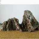 명석 Daum카페