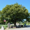 승안동녹색체험관 이미지