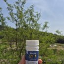 삼백초 | 비염 추천 도쿄메타 골드 파이토 삼백초 후기