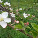 김영칠농장 이미지