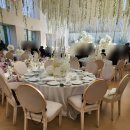 탈리 | 성남 메종디탈리 하객후기 (주차·식사·분위기 솔직후기)