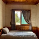 비안단테 이미지