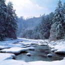 1/3 토요-&#34;꿈꾸는 산길&#34; 오대산 산행및 새로운 나홍선사 수행길 걷기 안내 이미지