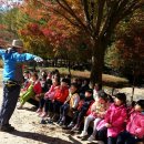 마지막 근무하던 날(12.30.수. 충북 음성 봉학골 산림욕장)... 이미지