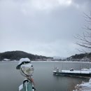 나린농장 티스토리