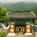 창원 성흥사 목조아미타여래삼존좌상 | 창원 성흥사