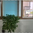 당진 부동산중개사무소 이미지