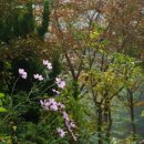 (주)돌담축산