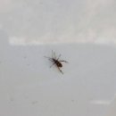 금동휴양림캠프1 네이버블로그