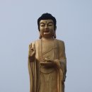 황동대 Daum카페