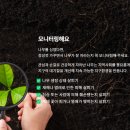 가든프로젝트 이미지