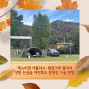 산음숲자연학교 | 폭스바겐 아틀라스 캠핑크루 발대식, 양평 산음숲 가을 할로윈 캠핑