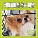 케이지메디칼 이미지