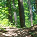 치유스테이 이미지