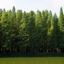 대호하우스 이미지