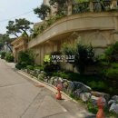 대왕판교로385번길 Daum카페