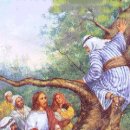 사케오니 이미지