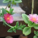 사각하늘 이미지