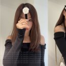 아르뉴 헤어