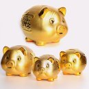 꽃분이네 이미지