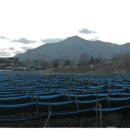 선원초등학교 이미지