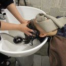 나비한의원 이미지